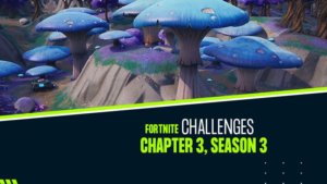 Fortnite Challenges Chapter 3, Season 3